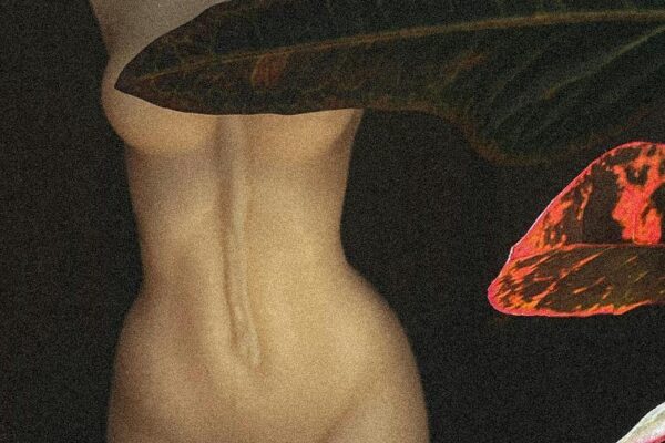 The Truth About Casual Sex: Exploring Its Risks and Rewards